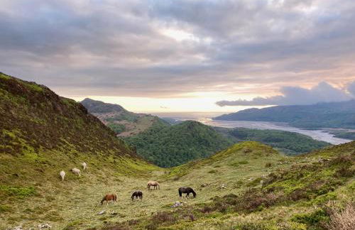 Ash Farm Cottage - Foto 29