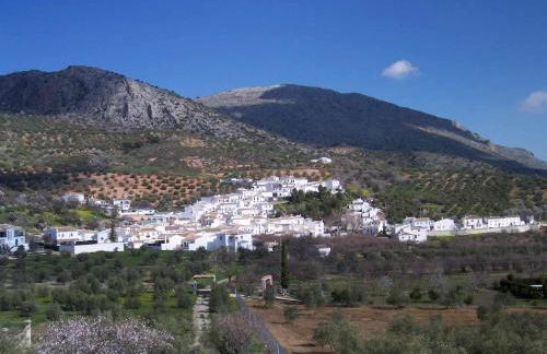 Sierra Alcaide - Foto 5