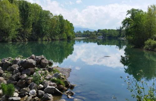 Helianthus - Photo 43