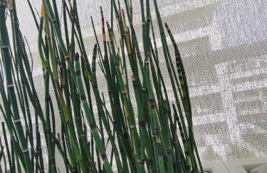 Ellenove holiday house - Foto 26