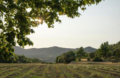 Mas au cœur de la Provence, paradis isolé à l'Etournelle - Photo 32