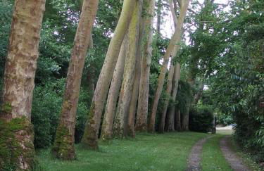 Château dans le calme de l'Anjou - Foto 34