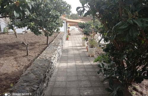 Casa PESTANA - Foto 23