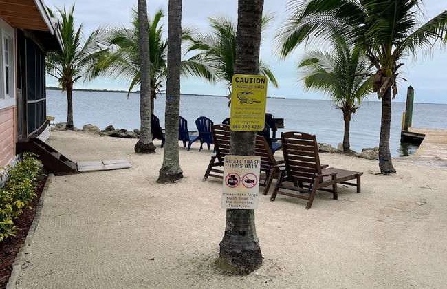 Kings Kamp - Foto 22