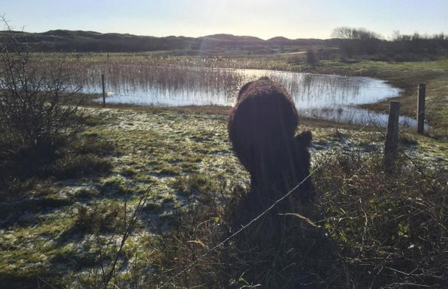 Traditional Villa With Dishwasher on Texel Near the Sea - Foto 35