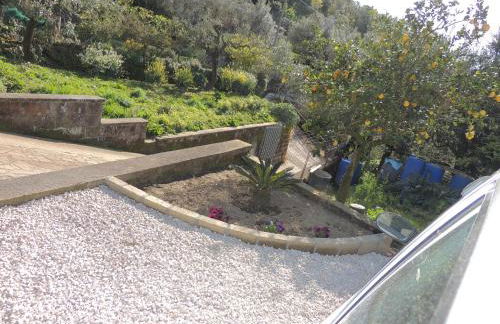 Johanna’s house - Foto 37