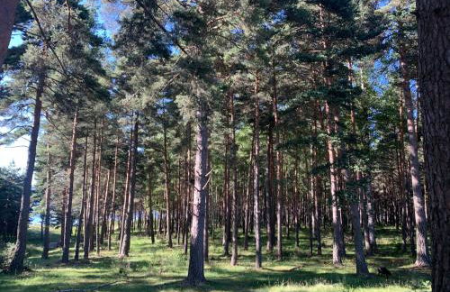 Lac de Naussac - Foto 29