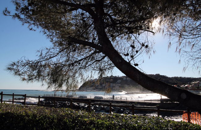 Il Quadrifoglio in Pineta - Foto 24