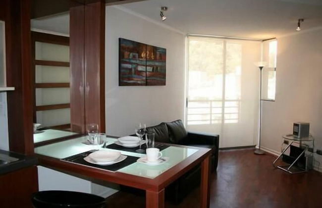 Santiago Suite Apartment - Photo 12