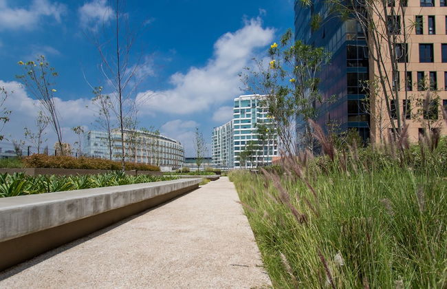 Polanco Luxury Condo - Foto 38