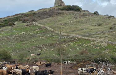 Domu Malaspina - Photo 53