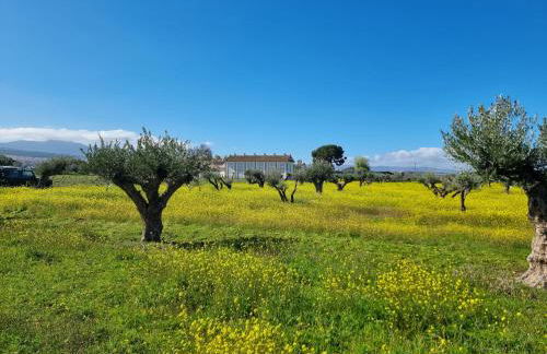 Cortijo de la Seda - Foto 12