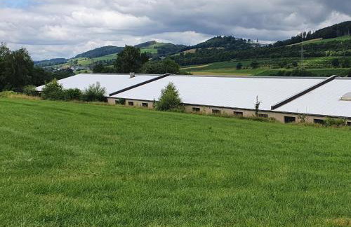 Ferienwohnungen Am Finkenweg - Photo 24