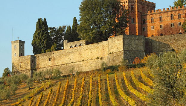 Chianti und Schloss-Tour ab San Gimignano - Kleine Gruppe - Foto 2
