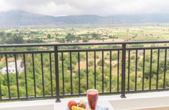 Dictamus Homes - Foto 47