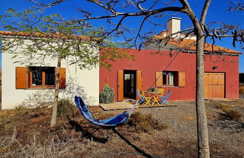 Land of Gavias - Foto 8