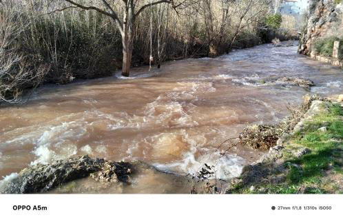 Los Gavilanes BOGARRA - Foto 5