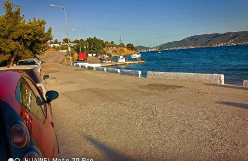 Ξένιος Ζευς Ηλιακτής. Χώρος Χαλάρωσης & Ξεκούρασης - Foto 65