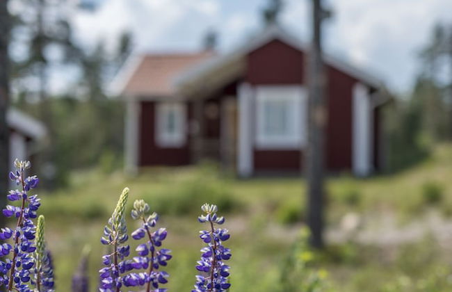 Resort Yxenhaga - Foto 42