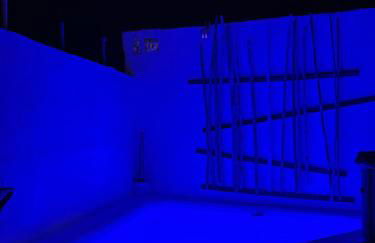 Casa Claudia Radazul - Foto 9