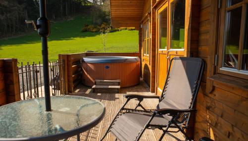 George Cabin - Log Cabin in Wales with Hot tub - Foto 5, Garden, Garden view