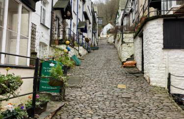 Cosy north Devon lodge within Hartland forest - Foto 23