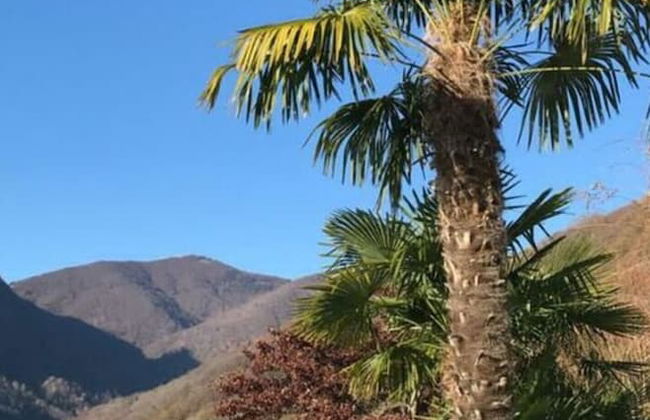 Majestic Apartment in Trarego-viggiona - Foto 31