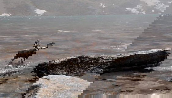 Outdoor rock climbing