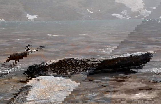 Paradise Park - Photo 5