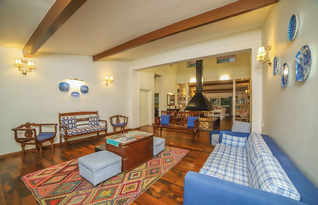 Rayne Forest - Foto 15