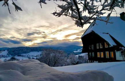 Echtes Schwarzwaldhaus - Traditionell & Modern - Foto 32