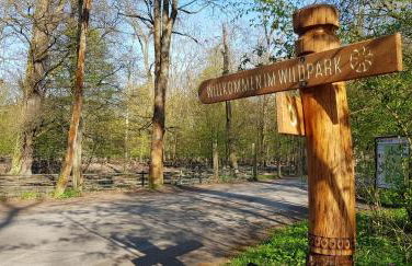 Zur Eiche - Ferienwohnung - Foto 14