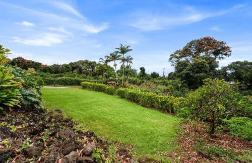 Orchid Hale - Foto 57