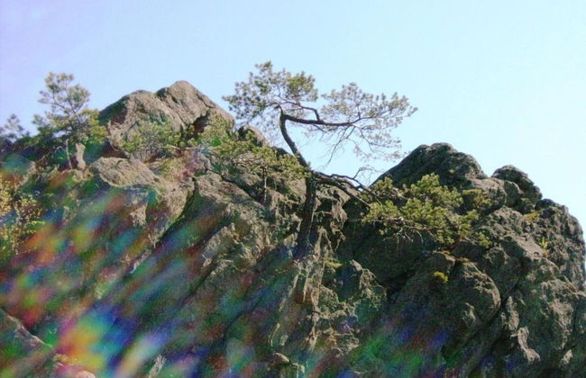 Wohnung in Neukirchen mit Skifahren & Pool - Foto 34