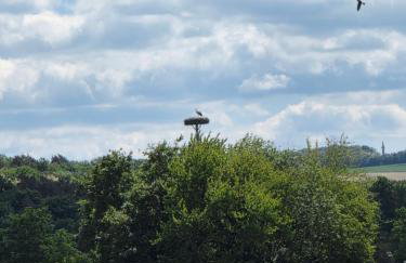 MainUrlaubsStop - Foto 15