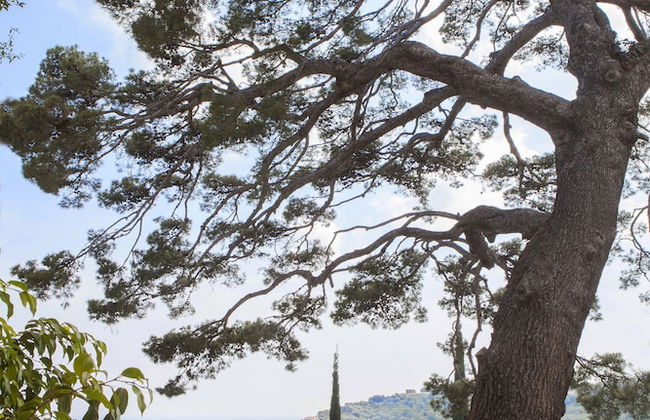 Agriturismo Uliveto Saglietto - Photo 51