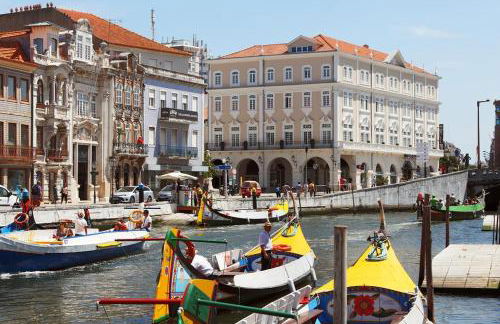 Bird’s Home - Foto 48