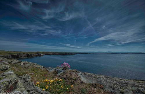 Apartment/Flat 3 - Foto 43