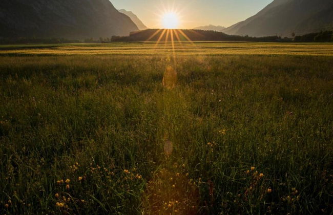 Superior Chalet mit 4 Schlafzimmern & Wellness - Foto 31