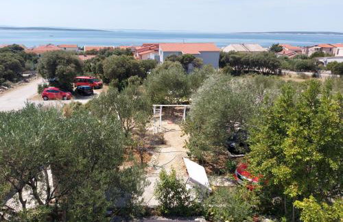 Apartment Gligora - Photo 4