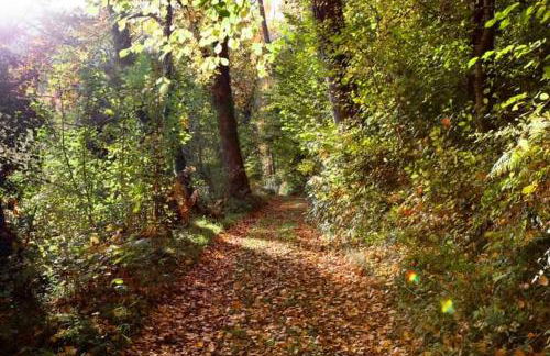 Zabala, entrañable y auténtica casa de pueblo en Anguiano - Foto 42