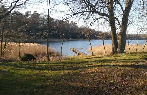 Cisowa Ostoja - Foto 5