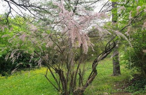Le Stagioni del Parco - Foto 25