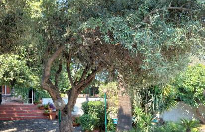Villa Clarenza - Holiday House - Foto 39