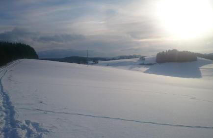 Gästehaus Ballmann 2 - Foto 29