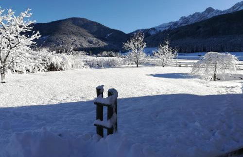 Appartements Durnbrunn - Photo 37