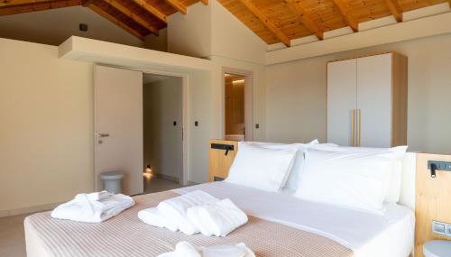 Nodeas Grande Villa - Photo 4