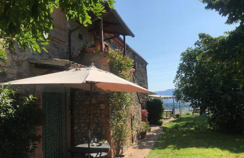 Podere Porcino - Foto 12