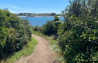 Pierre et mer au cœur de Saint Cado - Foto 31