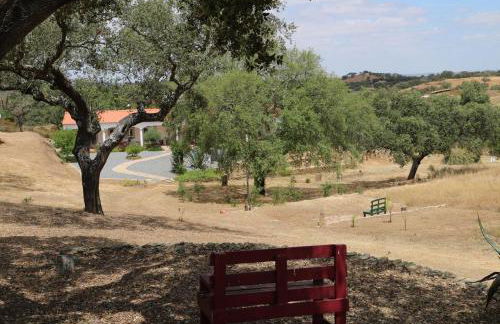 Monte Novo da Sobreira, rust en ruimte in zuid Alentejo - Foto 13